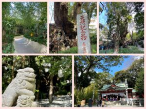 来宮神社